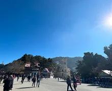 Shimla local sightseeing